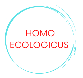 organizer-logo