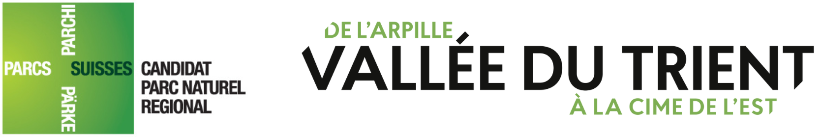 organizer-logo