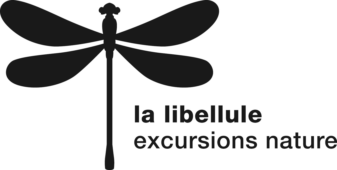 organizer-logo