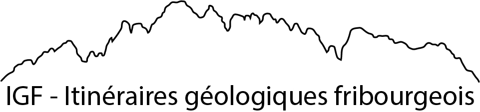 organizer-logo