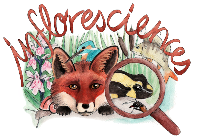 organizer-logo