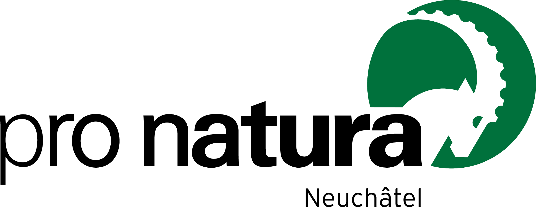 organizer-logo