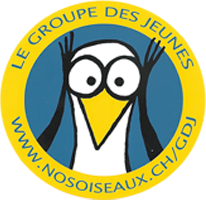 organizer-logo