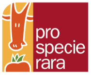 organizer-logo