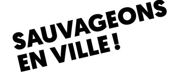 organizer-logo