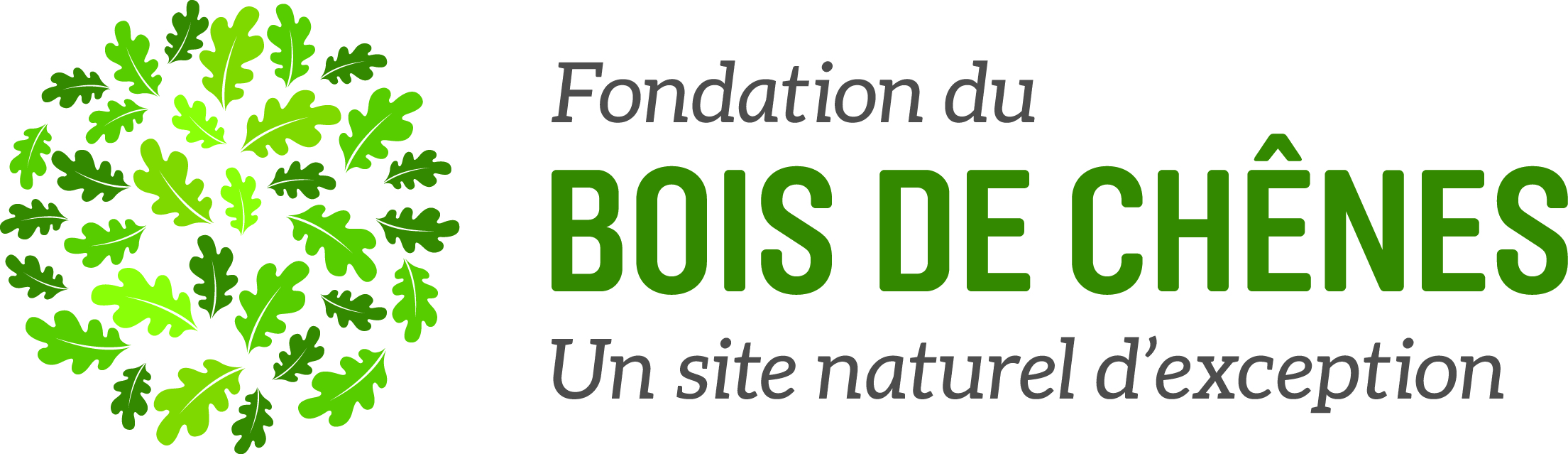 organizer-logo