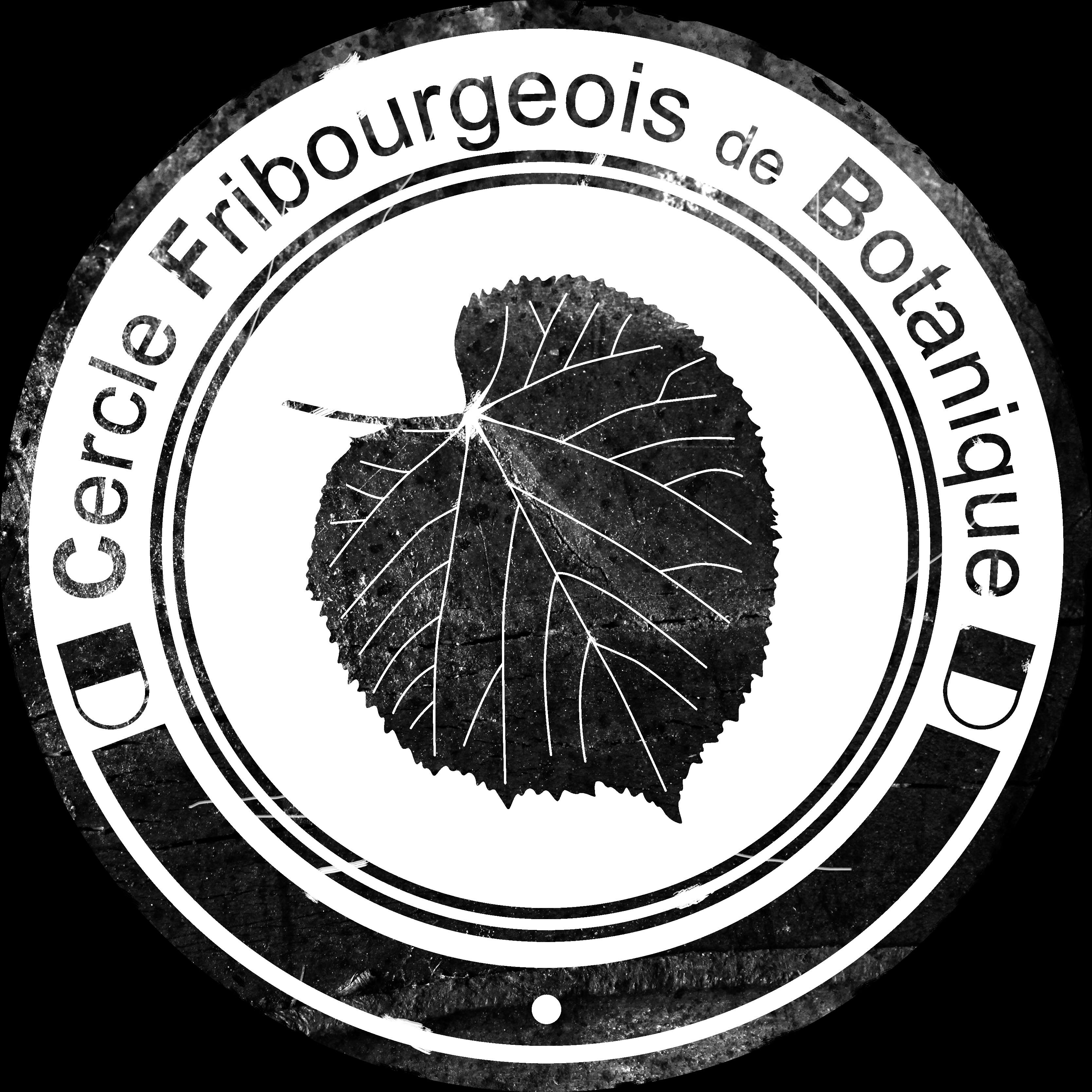 organizer-logo