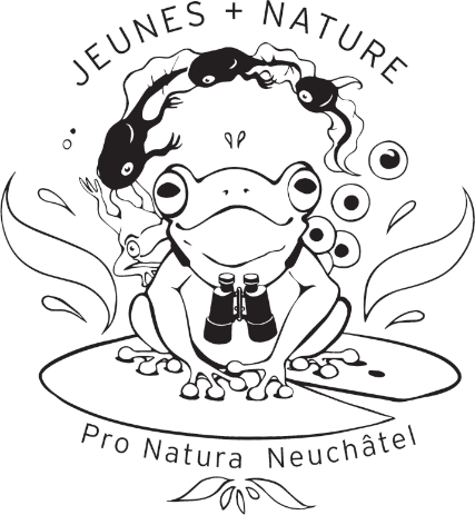 organizer-logo