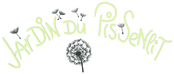 organizer-logo