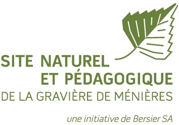 organizer-logo