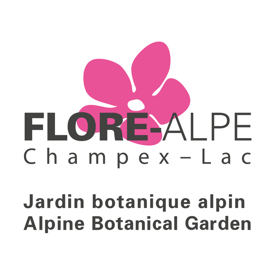 organizer-logo