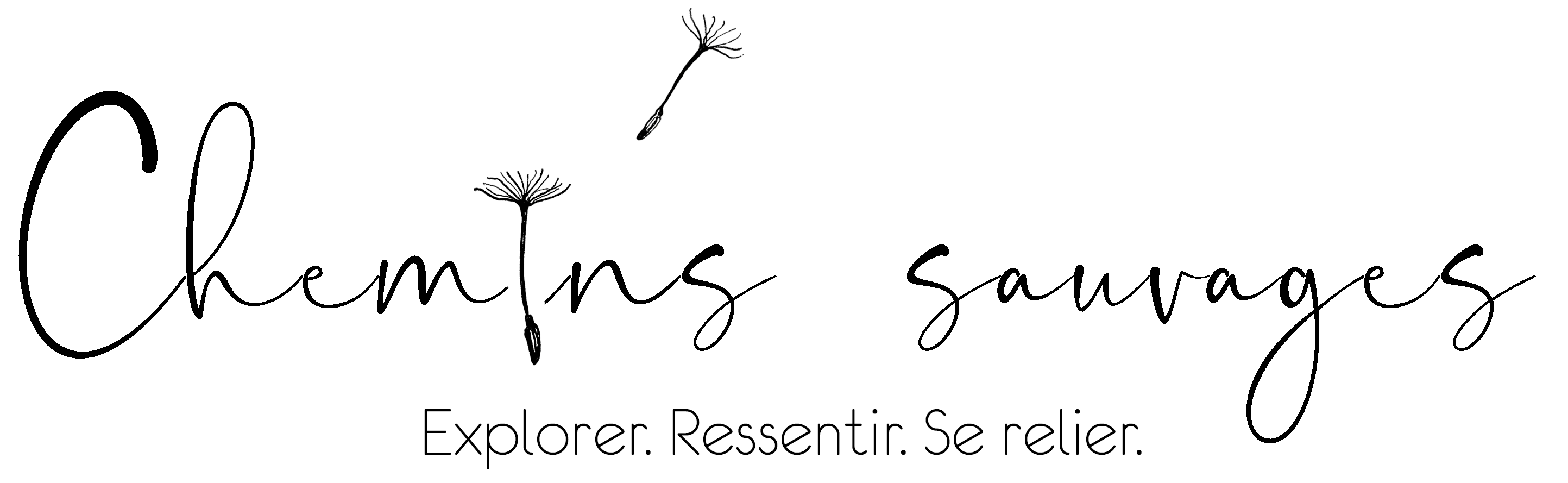 organizer-logo
