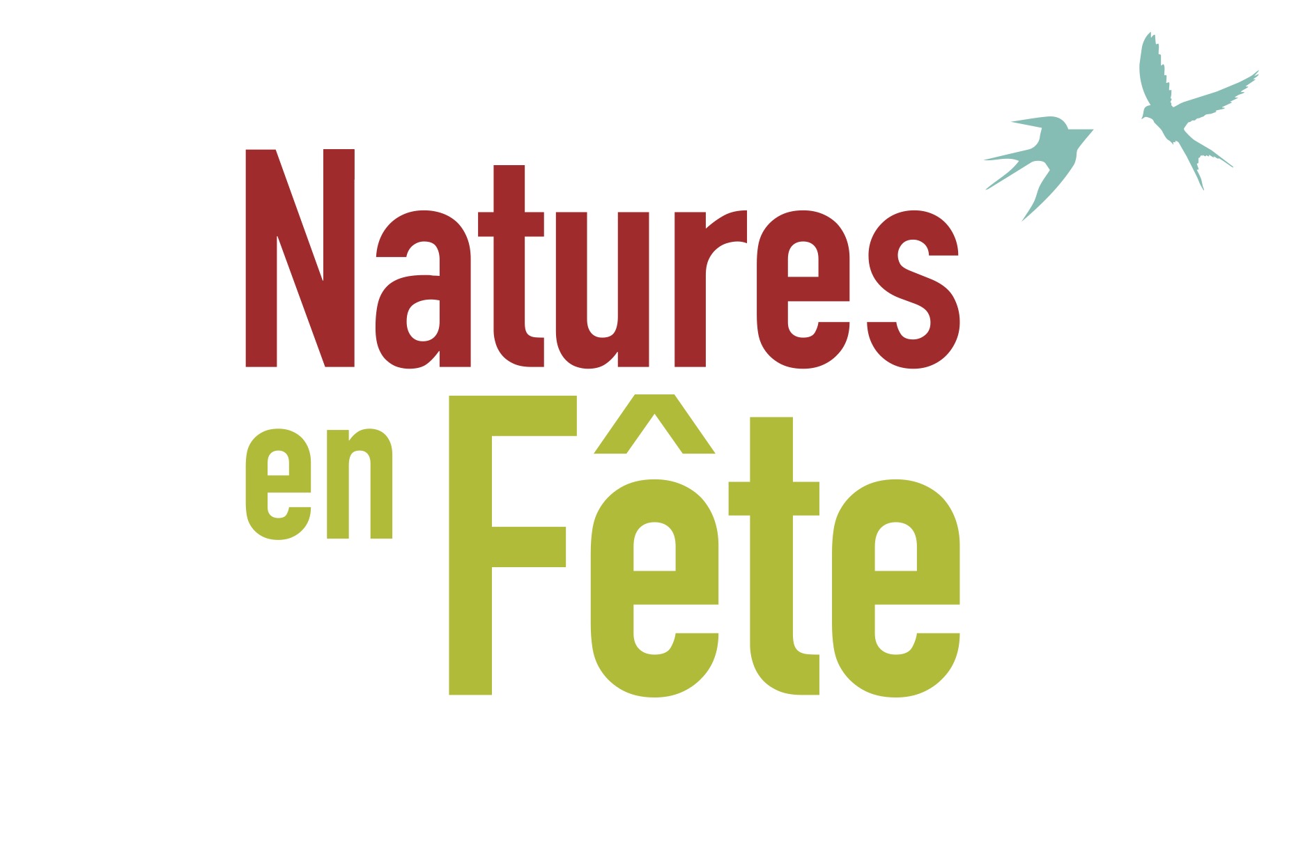 organizer-logo