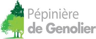 organizer-logo