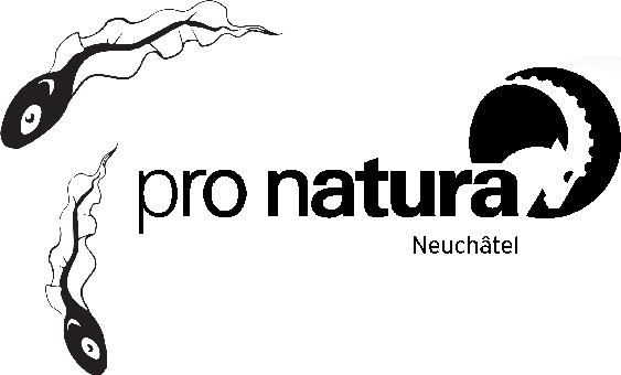 organizer-logo