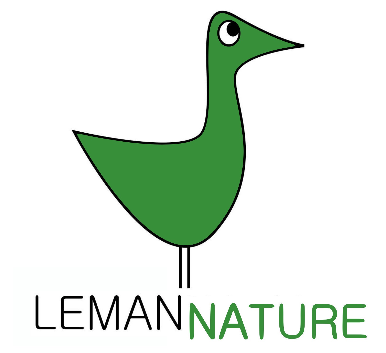 organizer-logo