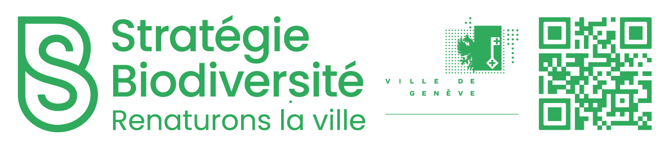 organizer-logo