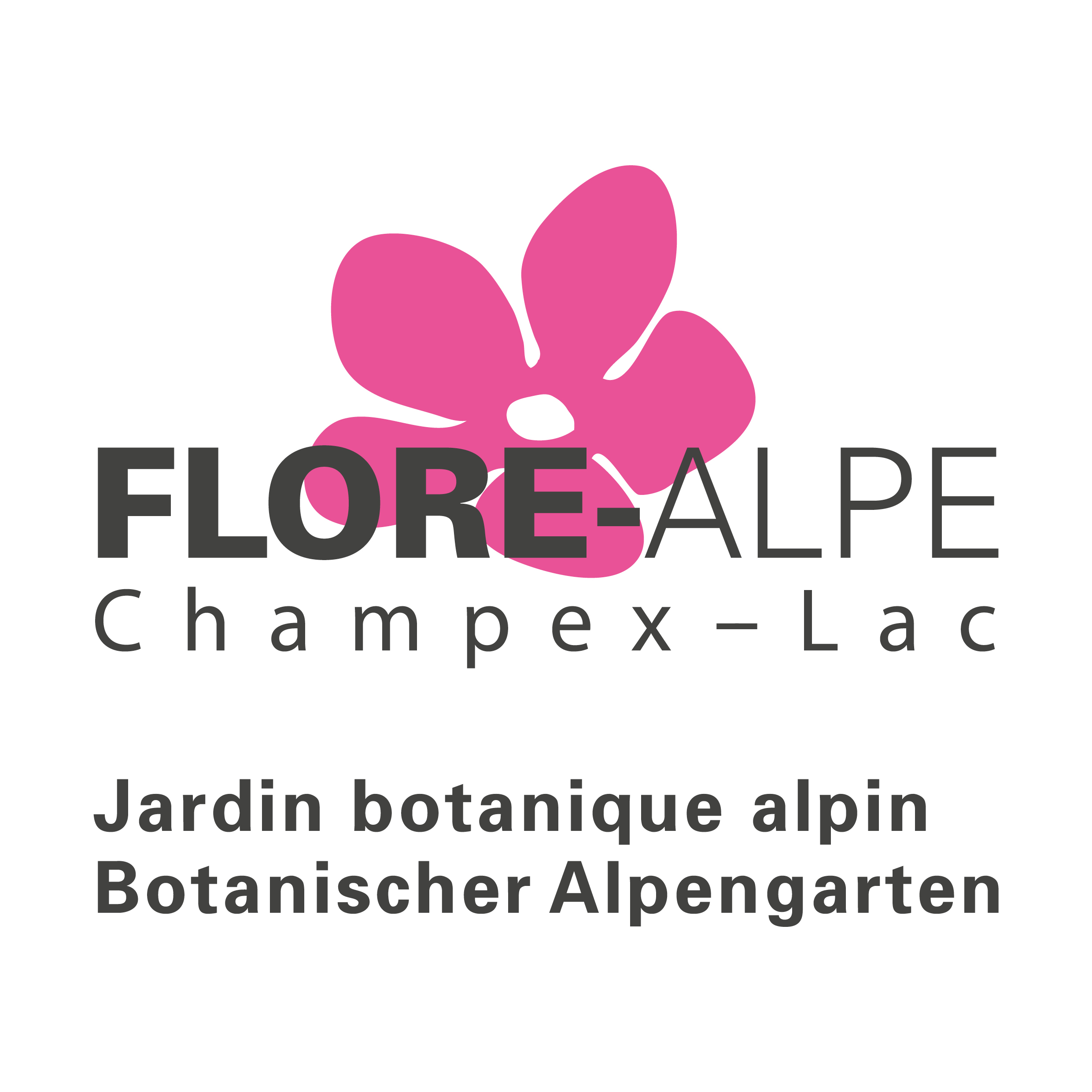 organizer-logo