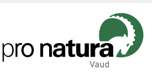 organizer-logo