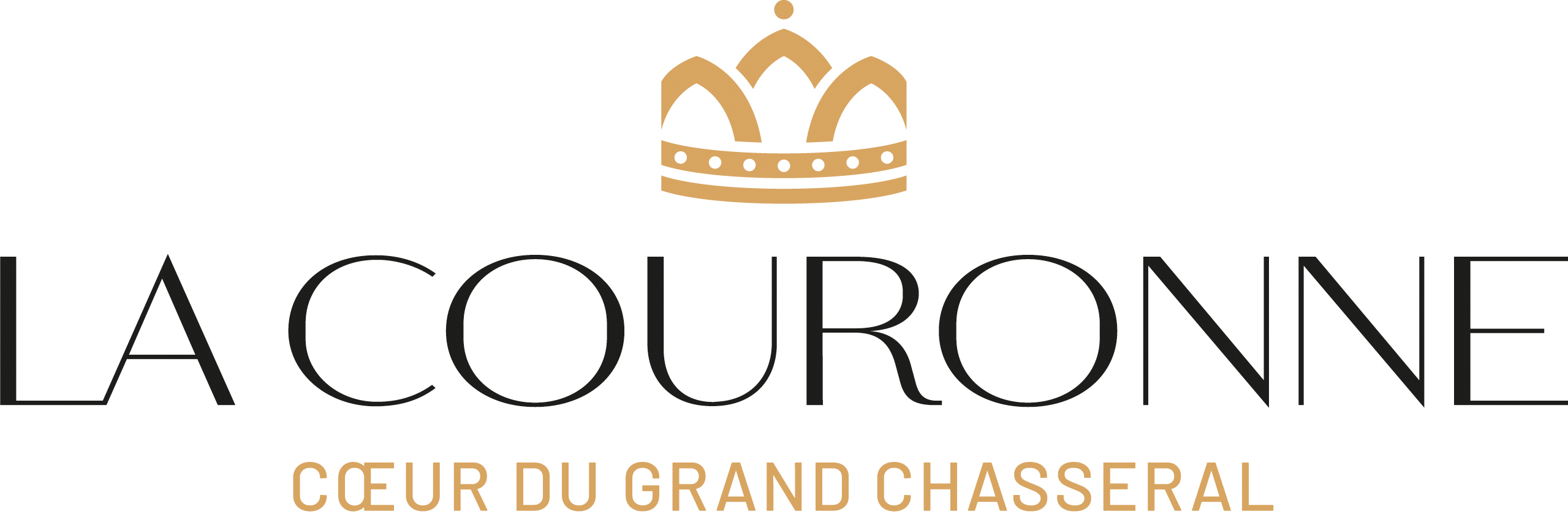 organizer-logo