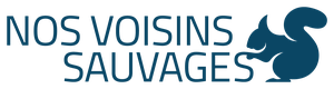 organizer-logo