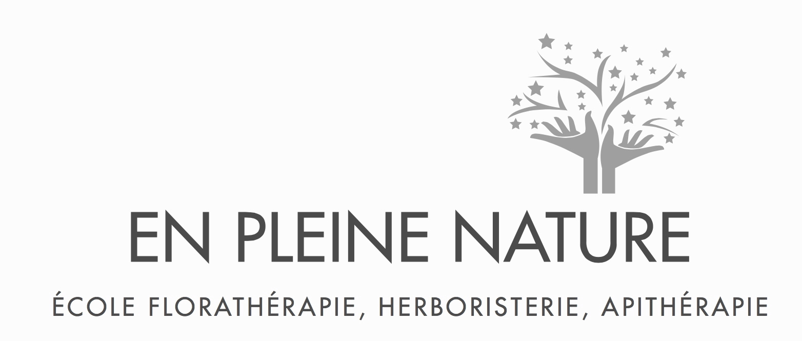 organizer-logo