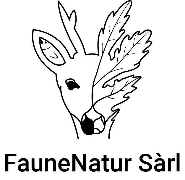 organizer-logo