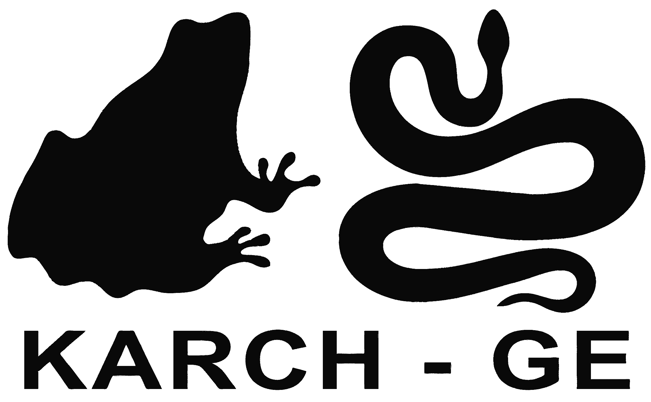 organizer-logo