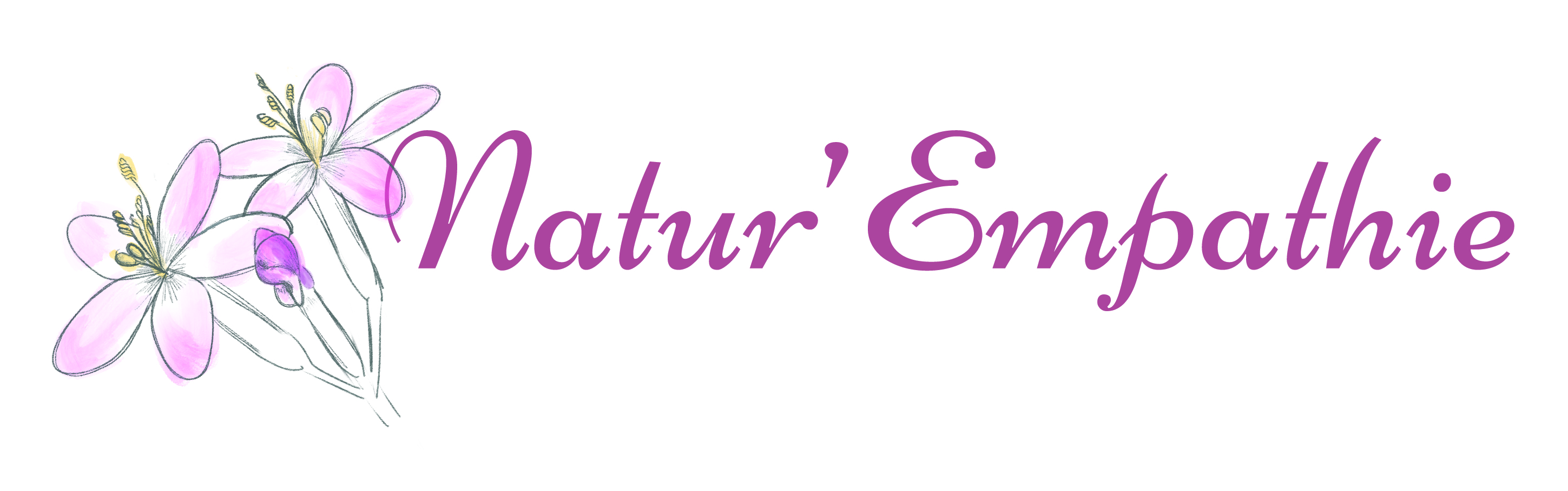 organizer-logo