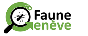 organizer-logo