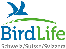 organizer-logo