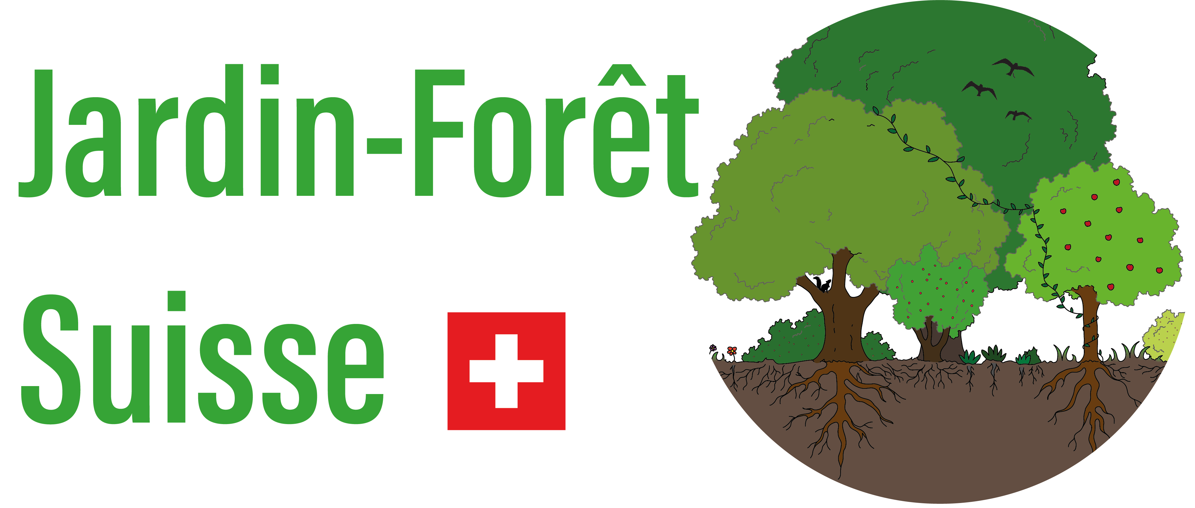 organizer-logo