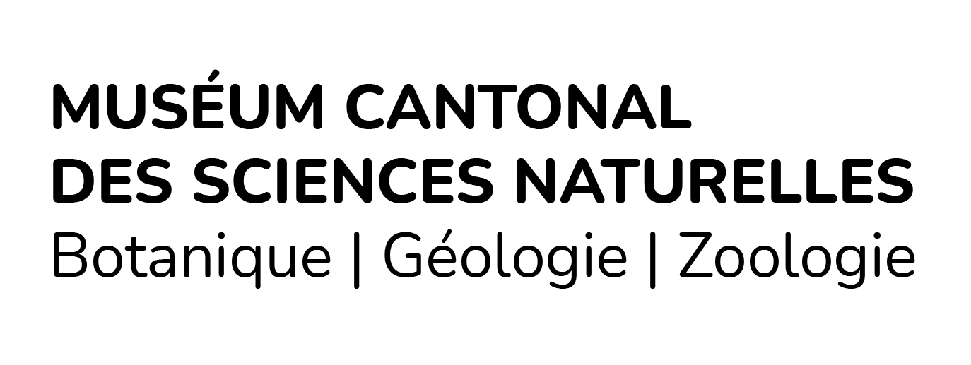 organizer-logo