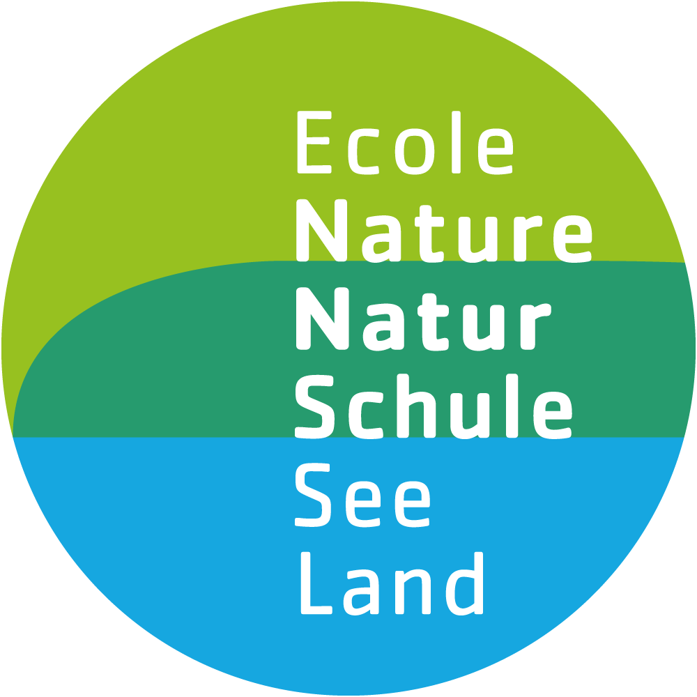 organizer-logo