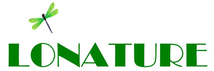 organizer-logo