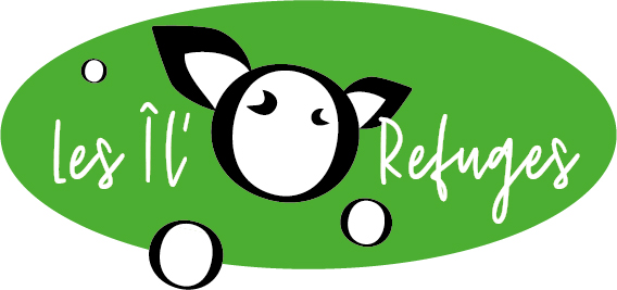 organizer-logo