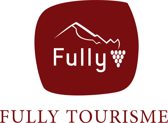 organizer-logo