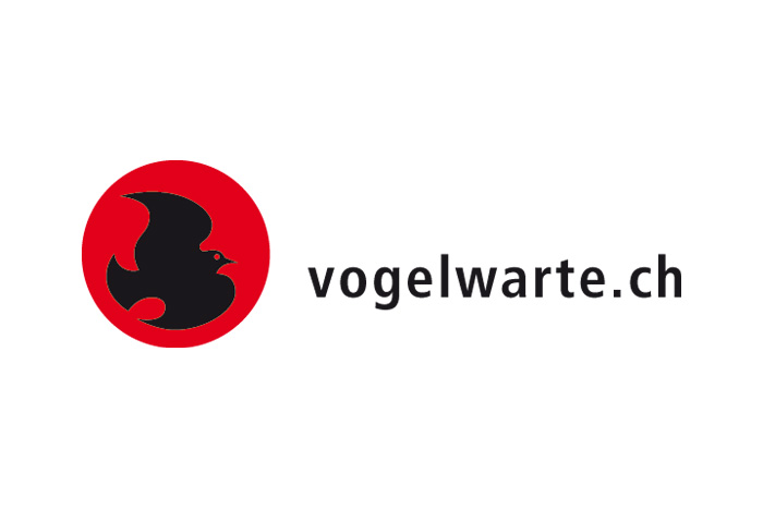 organizer-logo