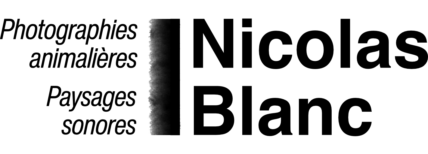 organizer-logo