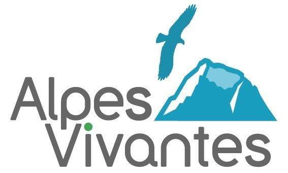 organizer-logo