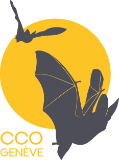 organizer-logo