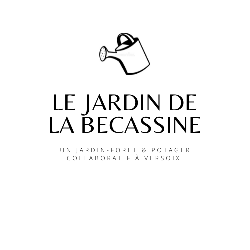 organizer-logo