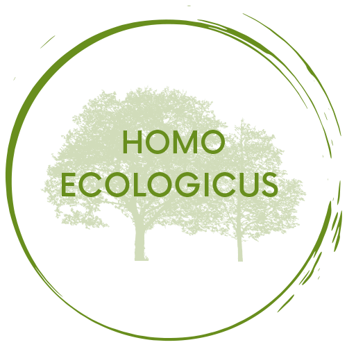 organizer-logo