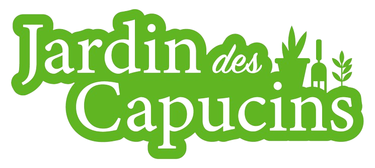 organizer-logo