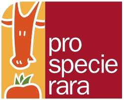 organizer-logo